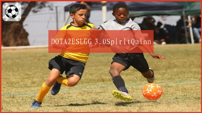 DOTA2ESLGG 3_0SpiritQuinn