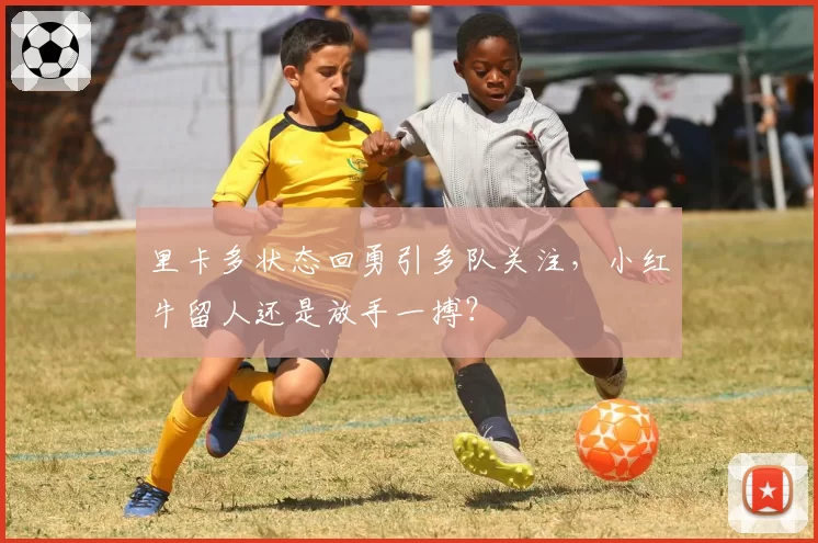 里卡多状态回勇引多队关注，小红牛留人还是放手一搏？