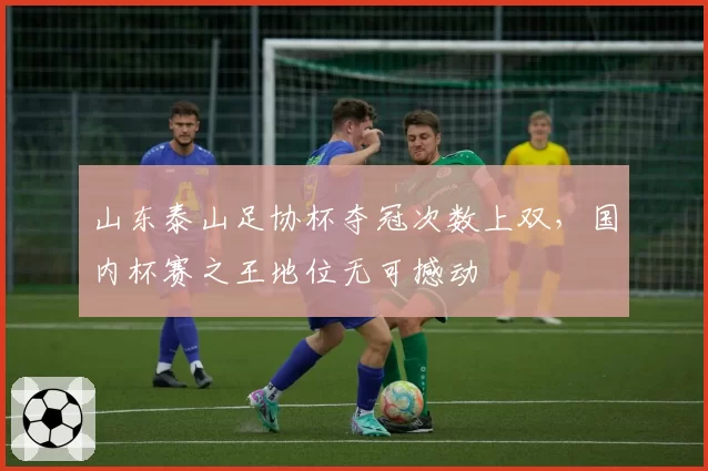 山东泰山足协杯夺冠次数上双，国内杯赛之王地位无可撼动
