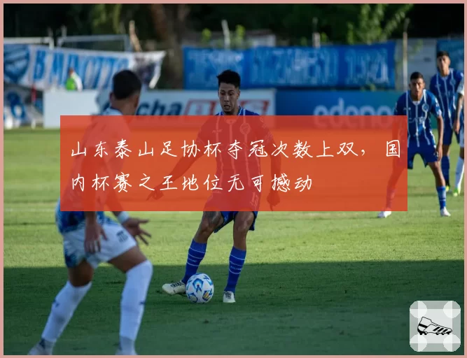 山东泰山足协杯夺冠次数上双，国内杯赛之王地位无可撼动